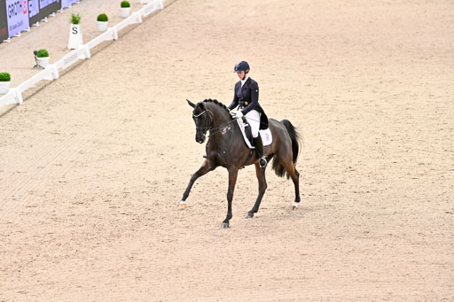  | Wego-Engelmeyer, Nicole - Saphir Royal - Rhld_29 