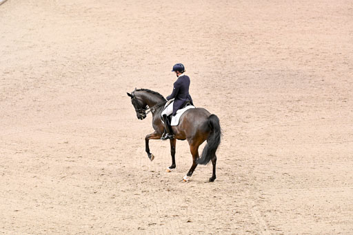  | Wego-Engelmeyer, Nicole - Saphir Royal - Rhld_30 