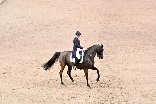  | Wego-Engelmeyer, Nicole - Saphir Royal - Rhld_31 