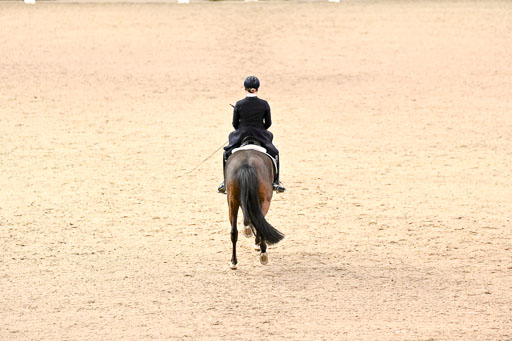  | Wego-Engelmeyer, Nicole - Saphir Royal - Rhld_32 