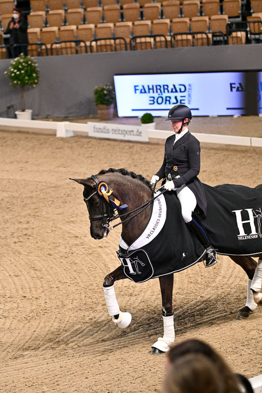  | Wego-Engelmeyer, Nicole - Saphir Royal - Rhld_41 