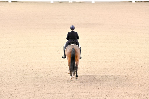  | Wilke, Sarah - Scholar - Hann 