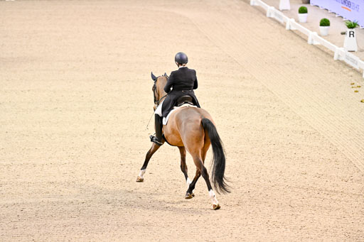  | Wilke, Sarah - Scholar - Hann_02 