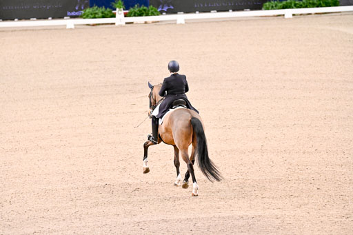  | Wilke, Sarah - Scholar - Hann_03 