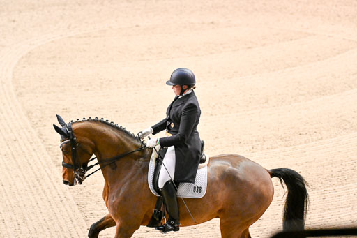  | Wilke, Sarah - Scholar - Hann_04 