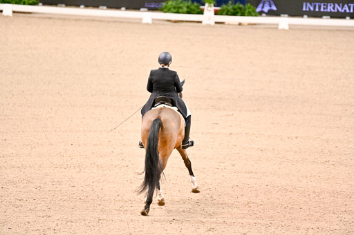  | Wilke, Sarah - Scholar - Hann_05 