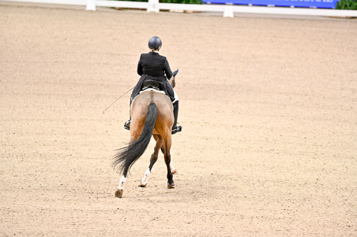  | Wilke, Sarah - Scholar - Hann_06 