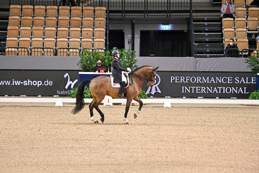  | Wilke, Sarah - Scholar - Hann_08 