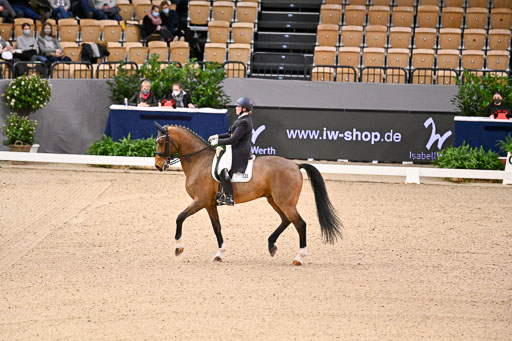  | Wilke, Sarah - Scholar - Hann_09 