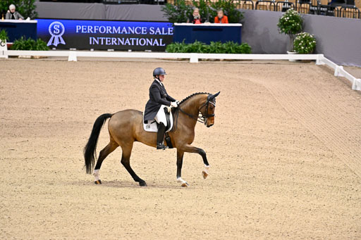  | Wilke, Sarah - Scholar - Hann_11 