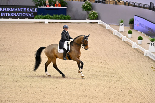  | Wilke, Sarah - Scholar - Hann_12 