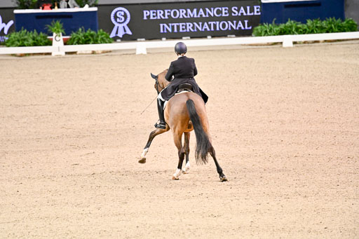 VR Classics Neumünster Dressage