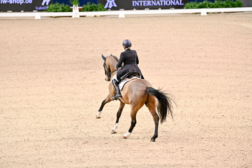  | Wilke, Sarah - Scholar - Hann_16 