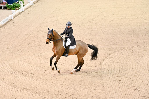  | Wilke, Sarah - Scholar - Hann_17 