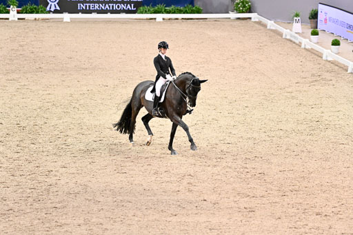  | Desmet , Tayla - Zaubermaus - OLDBG_03 