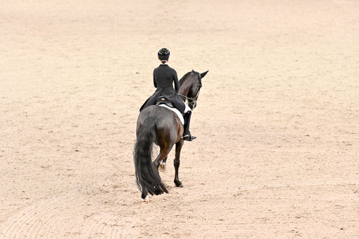  | Desmet , Tayla - Zaubermaus - OLDBG_04 