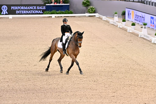  | Divyakriti, Singh - Elverhoejs Sakharov - DWB_1 