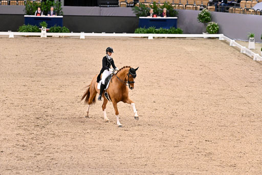  | Ellendt, Christina - Zhaviero - Holst _08 