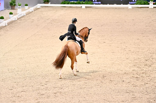  | Ellendt, Christina - Zhaviero - Holst _09 