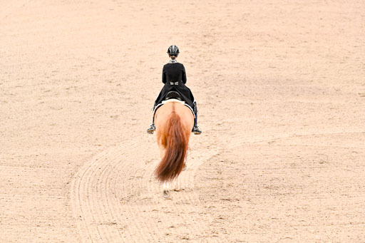  | Ellendt, Christina - Zhaviero - Holst _12 