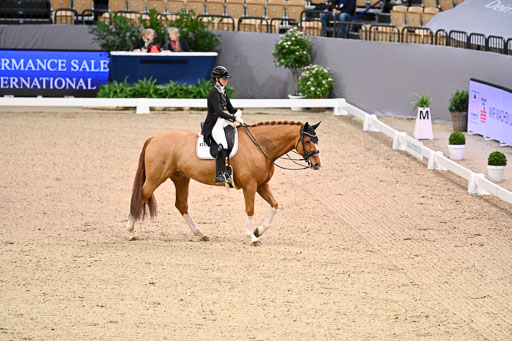  | Ellendt, Christina - Zhaviero - Holst _14 