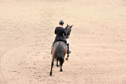  | Hollanders, Stefan - Loriston - Hann _06 