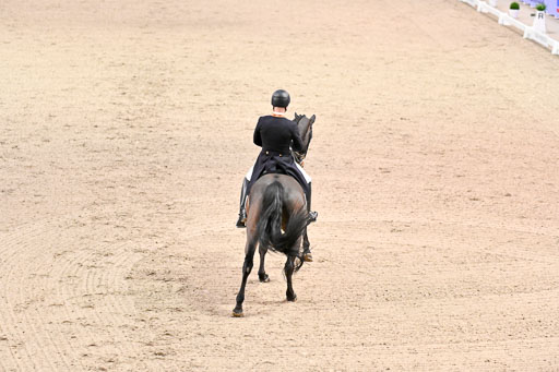  | Hollanders, Stefan - Loriston - Hann _07 