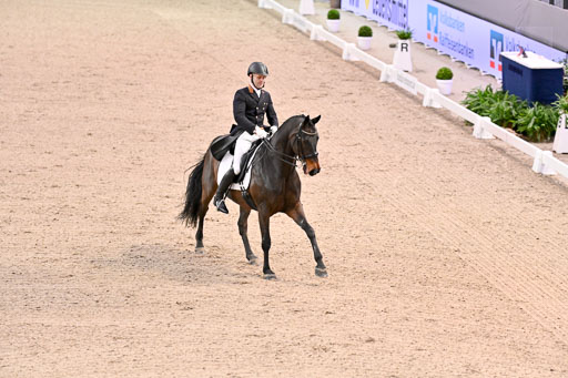  | Hollanders, Stefan - Loriston - Hann _09 