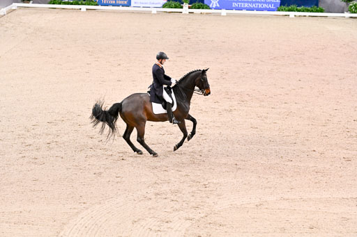  | Hollanders, Stefan - Loriston - Hann _10 