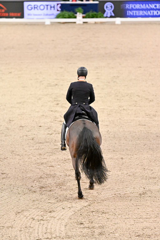  | Hollanders, Stefan - Loriston - Hann 