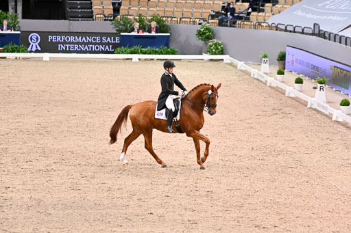  | Hwang, Young Shik - Bluebarry Dream - Hann 