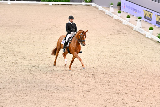  | Hwang, Young Shik - Bluebarry Dream - Hann_02 