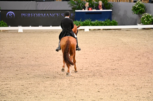  | Hwang, Young Shik - Bluebarry Dream - Hann_03 