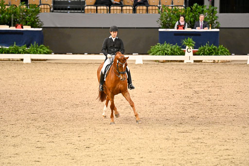  | Hwang, Young Shik - Bluebarry Dream - Hann_04 