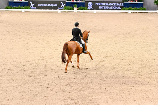  | Hwang, Young Shik - Bluebarry Dream - Hann_05 