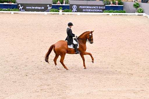  | Hwang, Young Shik - Bluebarry Dream - Hann_08 