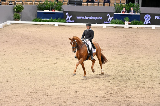  | Hwang, Young Shik - Bluebarry Dream - Hann_10 