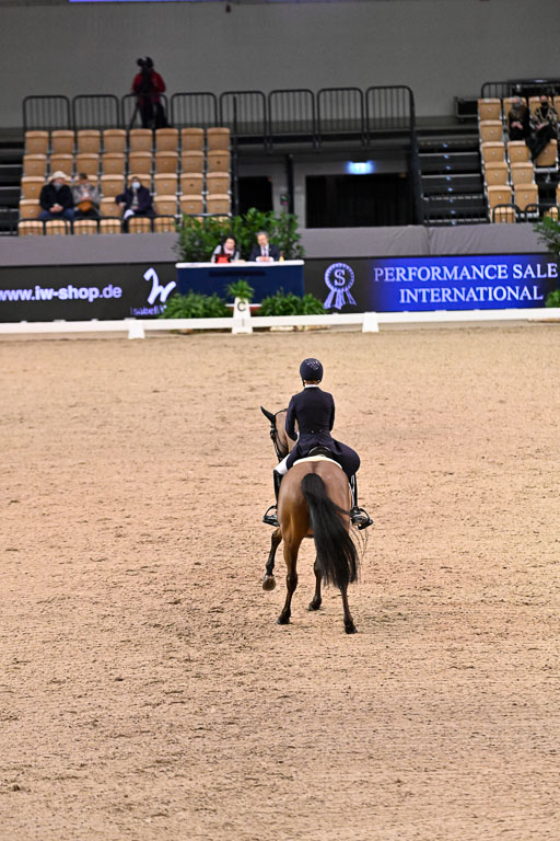  | Langehanenberg, Helen - Daniela 133 - Hann_08 