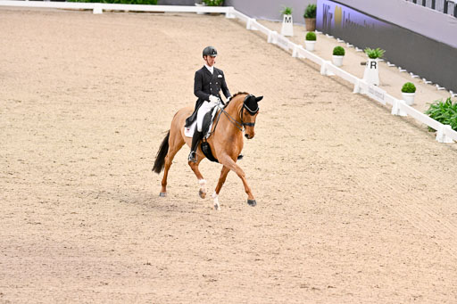  | Werndl, Benjamin - Discover 7 - Rhld_05 