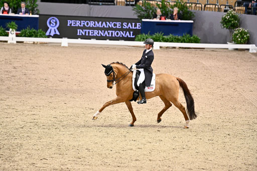  | Werndl, Benjamin - Discover 7 - Rhld_08 