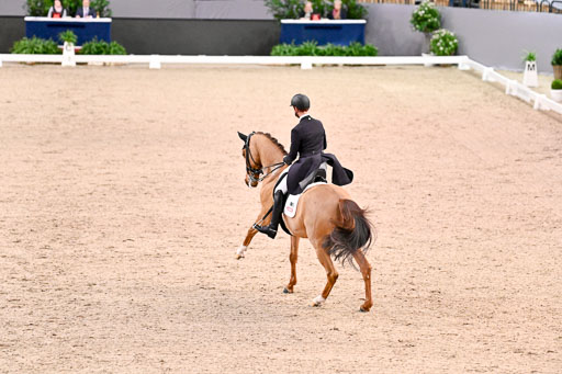  | Werndl, Benjamin - Discover 7 - Rhld_15 