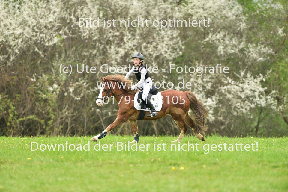 29.4.18---VE-Reesdorf_-185.jpg