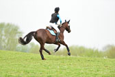29.4.18---VE-Reesdorf_-107.jpg
