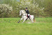 29.4.18---VE-Reesdorf_-210.jpg