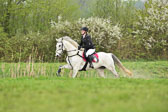 29.4.18---VE-Reesdorf_-211.jpg