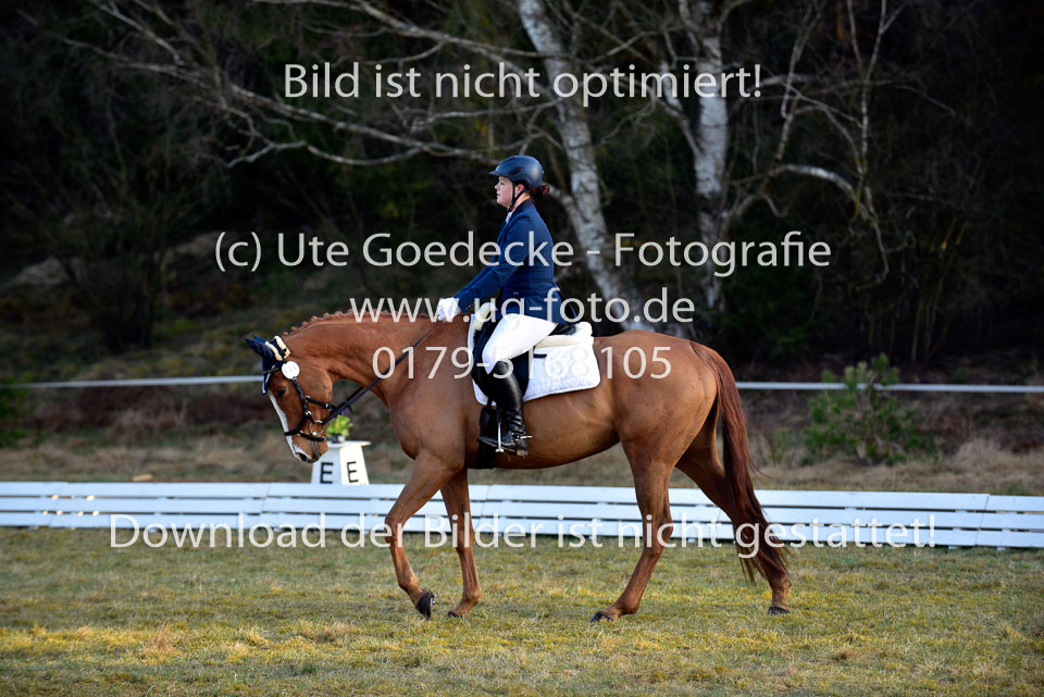 2018-4-8--Dressur-WB-E_001.jpg