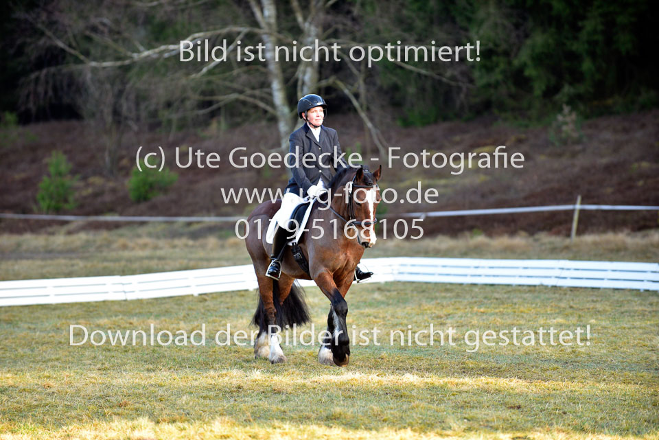 2018-4-8--Dressur-WB-E_006.jpg