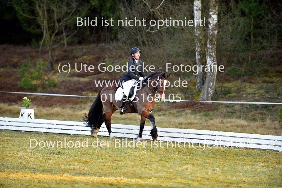 2018-4-8--Dressur-WB-E_012.jpg
