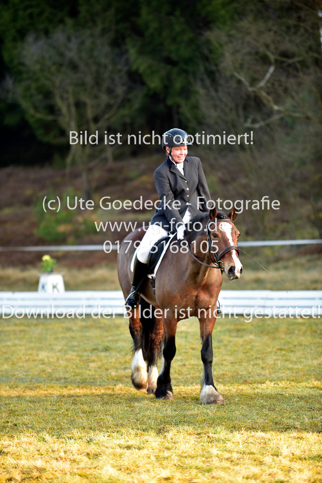 2018-4-8--Dressur-WB-E_016.jpg