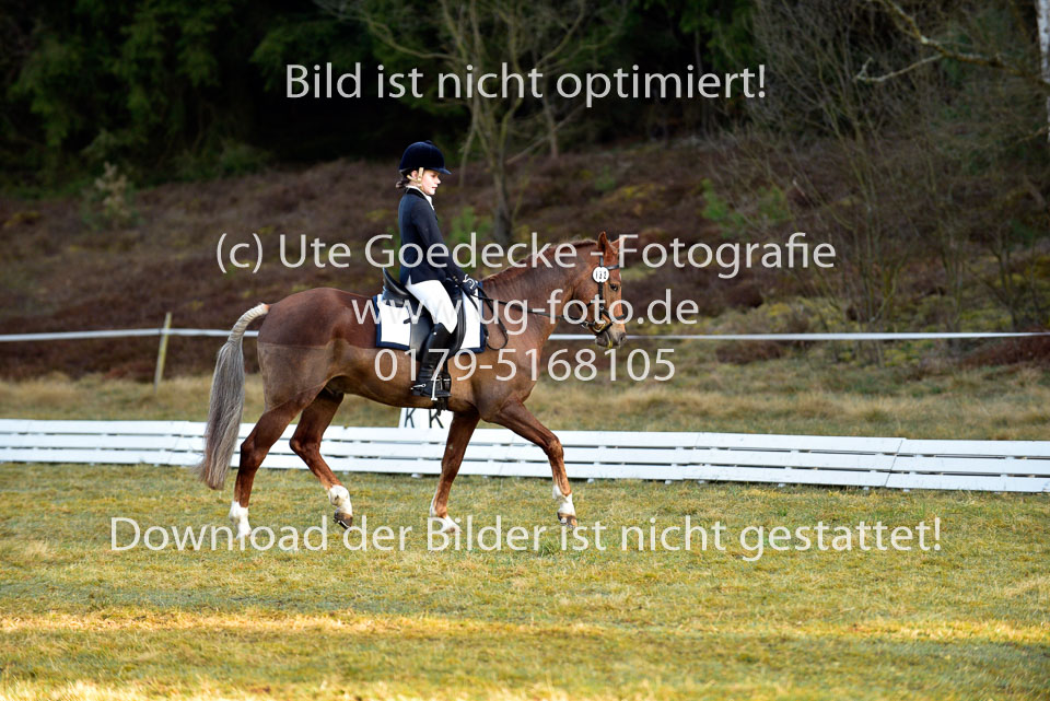 2018-4-8--Dressur-WB-E_032.jpg